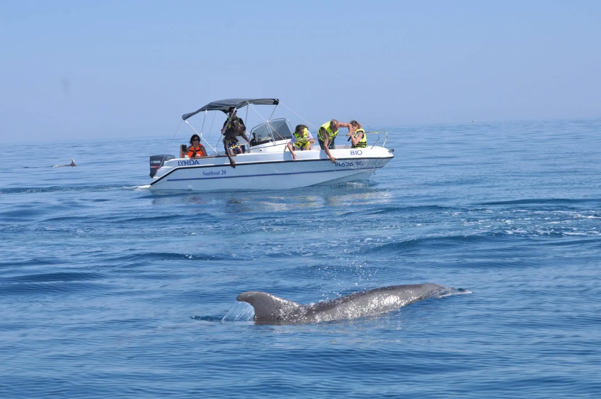Dolphin speedboat – Sea excursion water activity Djerba