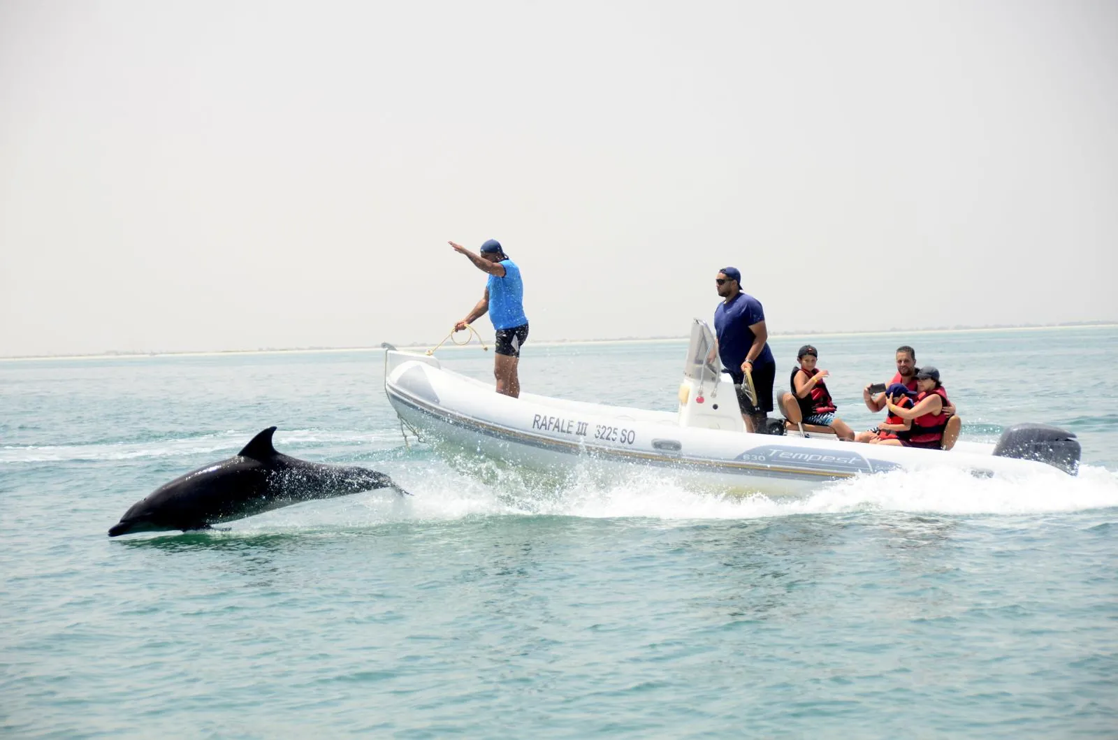 Blue Lagoon — Speed boat — dauphins & plages de sable blanc