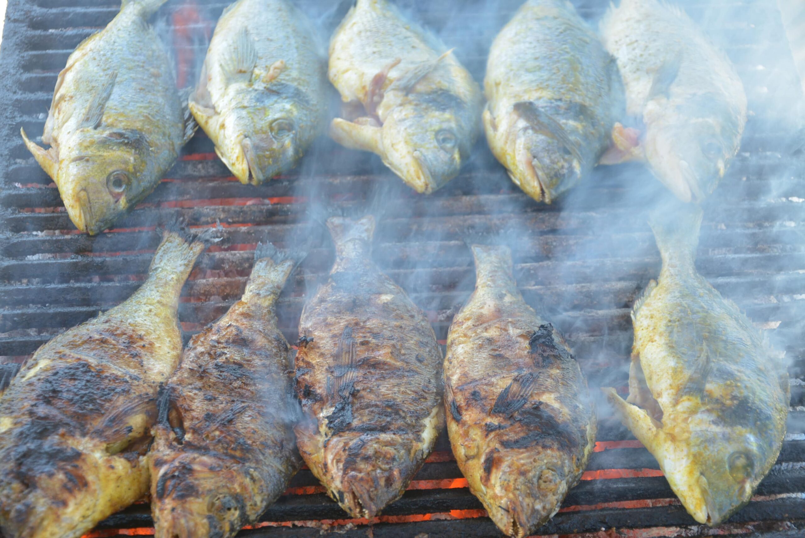 poissons grillé au menu du balade en mer en bateau pirate