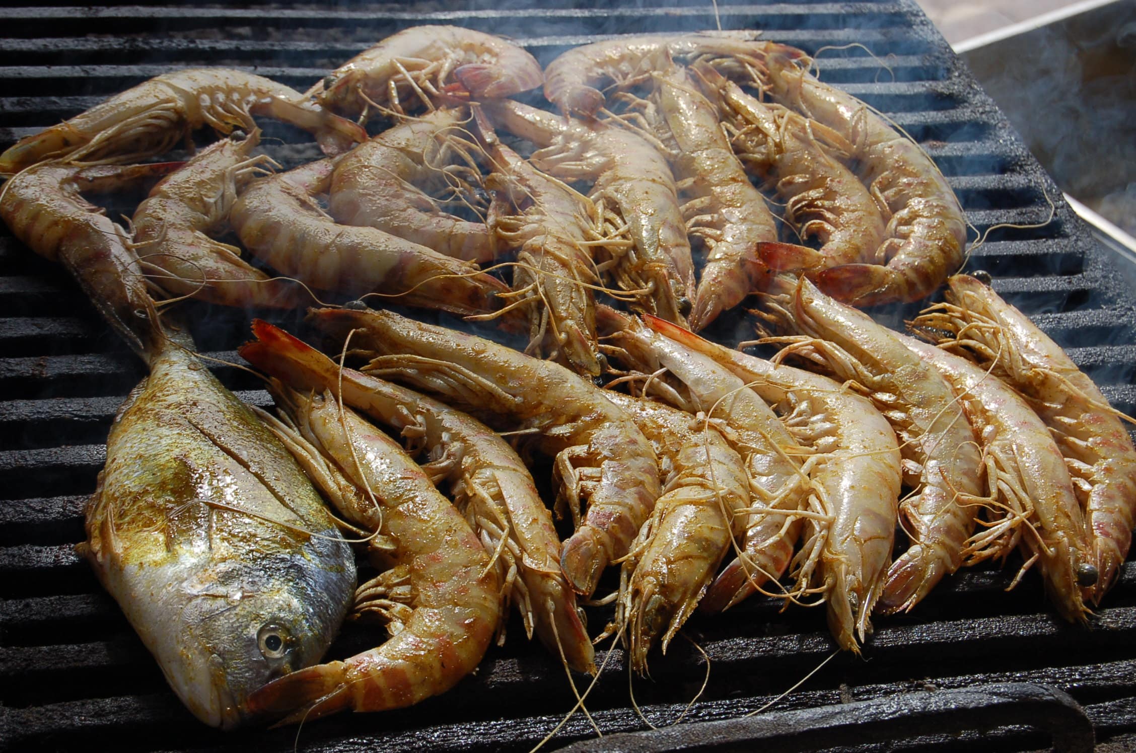 crevettes grillé au menu des balades en mer en bateau pirate